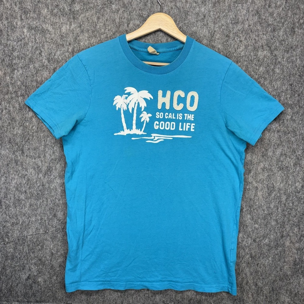 Vintage Y2K‎ Hollister T-Shirt Men's Large Short Sleeve Blue Surf Cali Mall Core